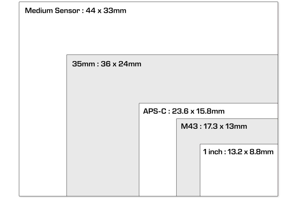 カメラのセンサーサイズ比較